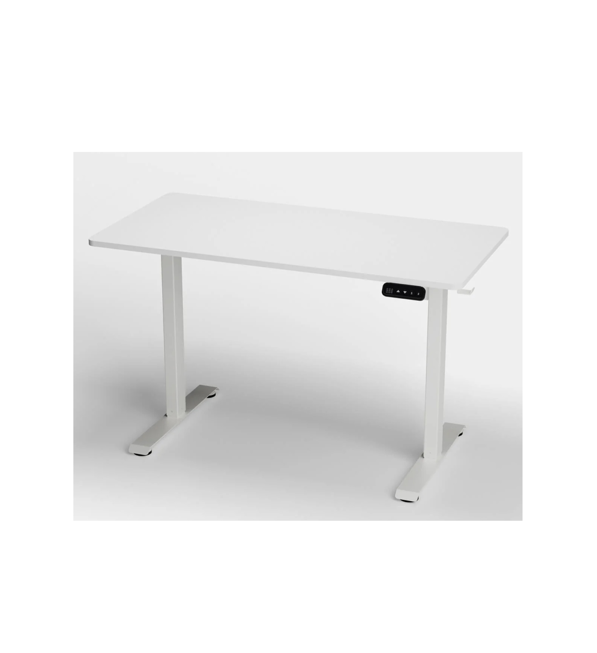 Ergonomist Standing Electric Adjustable Computer Desk